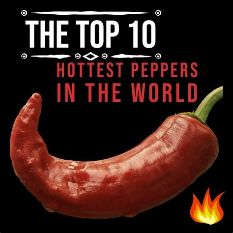 The Top Hottest Peppers In The World Delishably