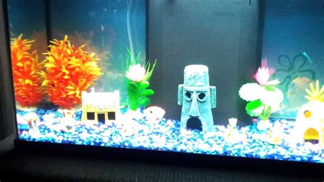 Spongebob Aquarium Wallpaper