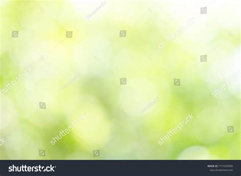 Abstract Natural Green Bokeh Background Stock Photo 1717255909