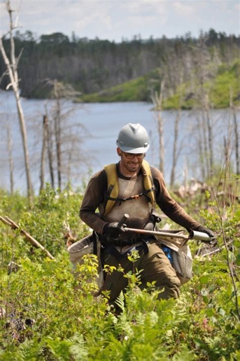 La Forêt de demain Travaux sylvicoles Reboisement Inventaires