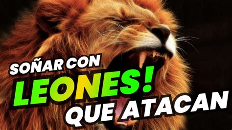 Que Significa Soñar con Leones que atacan YouTube