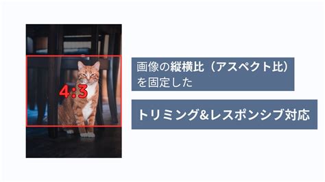 【css】画像の縦横比を固定したトリミング方法（レスポンシブにも対応） ウェブスペ