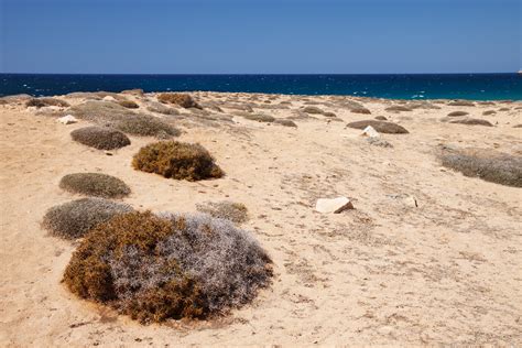 Banco De Imagens De Praia Panorama Mar Costa Agua Natureza