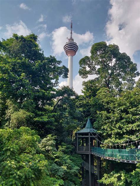 Best Hiking Trails In And Around Kuala Lumpur To Embark On Adventure