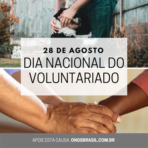 Dia Nacional Do Voluntariado De Agosto Ongs Brasil