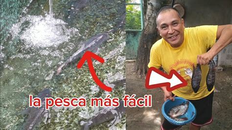 Un Vivero De Tilapias Fuera De Serie En Aguilares El Salvador Y