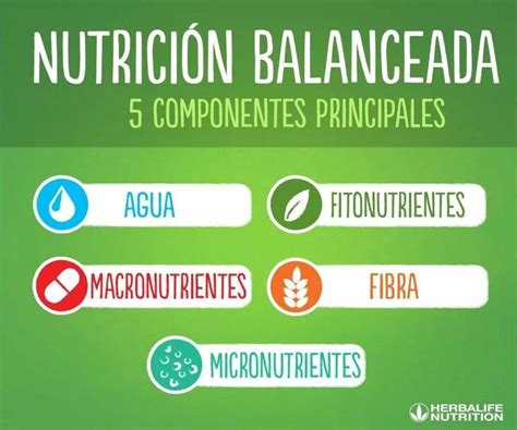 Conoce los cinco componentes principales para una nutrición balanceada