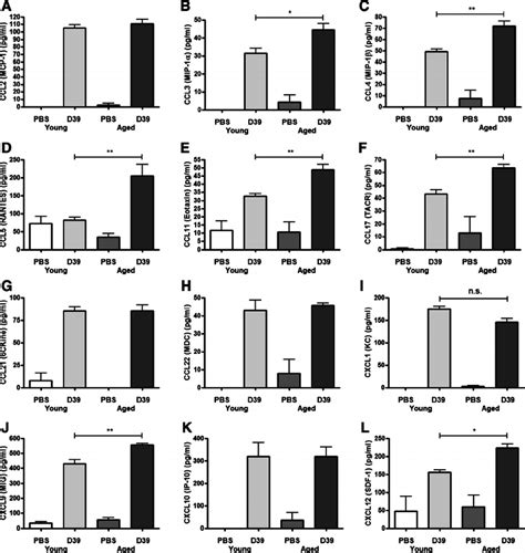 Aged mice have a dysregulated chemokine response. Young adult Balb/c ...