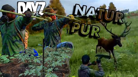 Let S Play Together Dayz Standalone Meine Highlights Nur Natur