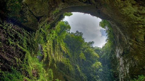 Cave entrance surrounded by green trees, forest, canal HD wallpaper ...