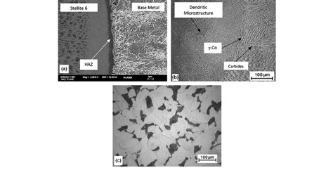 Sem And Optical Micrograph Of The Cross Section Of The Surface Alloyed