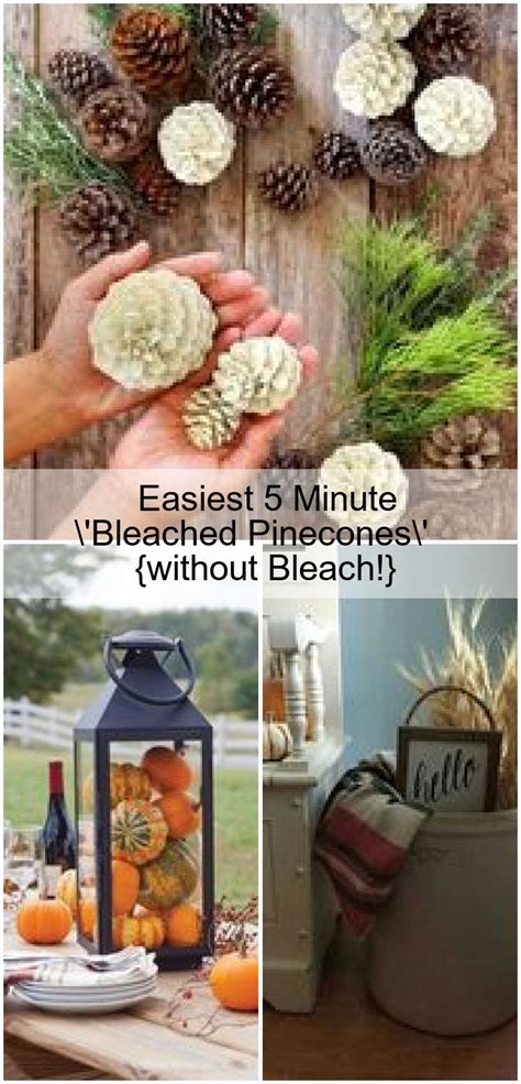 Easiest 5 Minute Bleached Pinecones Without Bleach Welcome To