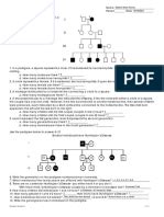 Pedigree Worksheet PDF Dominance Genetics Genotype Worksheets