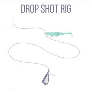 The Drop Shot Rig: The Secret to Consistently Catching More Fish