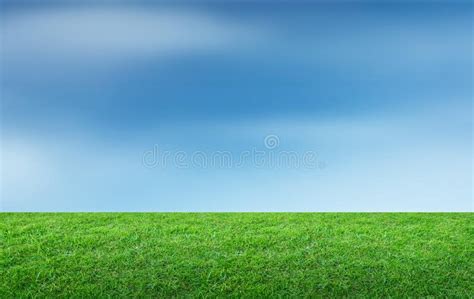 Paisaje Del Campo De Hierba Y Del Uso Verde Del Parque Del Ambiente