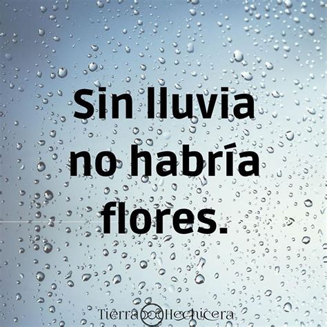 Despertandoconsciencia Consciencia Rain Lluvia Frases Mindfulness