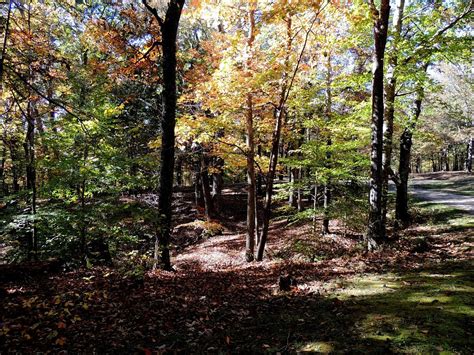 Tims Ford State Park Winchester Ce Quil Faut Savoir