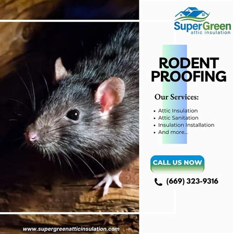 Unwanted Guests Ruining Your Peace Our Rodent Proofing Pr Flickr