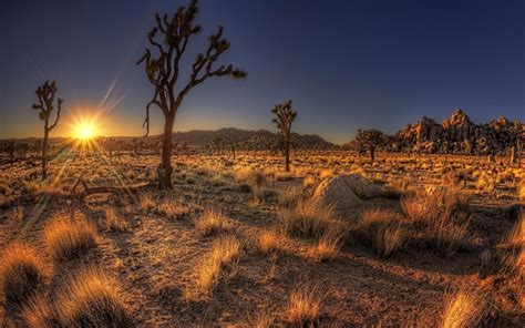 Arizona Desert Sunset Wallpapers - Top Free Arizona Desert Sunset ...