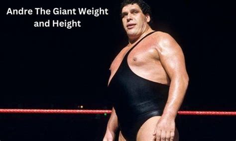 Andre The Giant Weight and Height, Biography, Wife, Children, Net Worth and Death