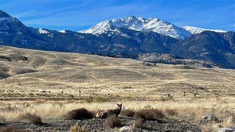 These are the days national parks will have free admission in 2023 ...