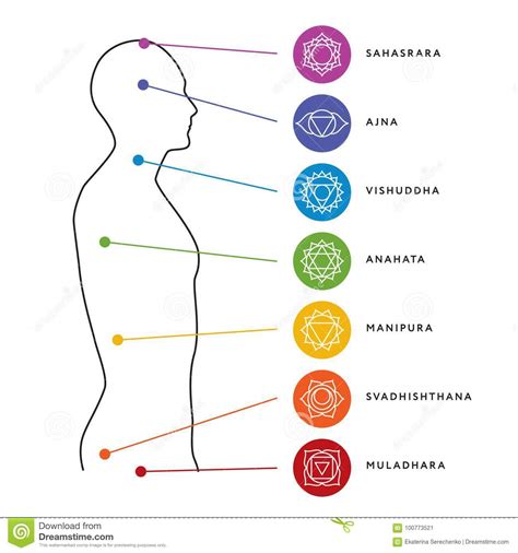 Los siete centros de energía del cuerpo humano Normalweb es