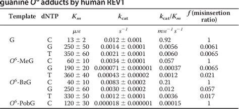 Table From Kinetic Analysis Of Translesion Synthesis Opposite Bulky