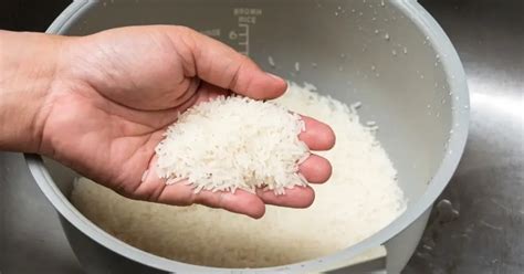 How To Make Asian White Rice In Rice Cooker | Storables