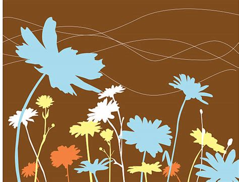 Gerber Daisy Silhouette Illustrations Royalty Free Vector Graphics