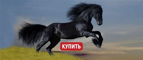 Витая сталь | Купить усиленные пружины