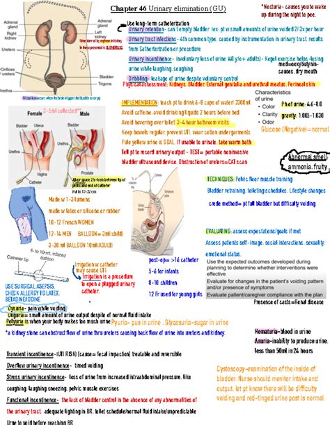 Ch Urinary Tract Bowel Chapter Urinary Elimination