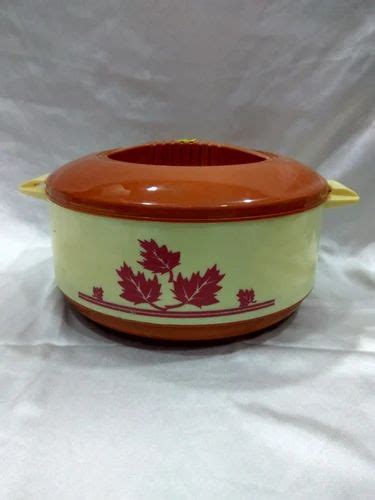 GEENOVA Plastic Multicolor Hot Casserole Capacity 1000 Ml At Rs 95 Piece In New Delhi