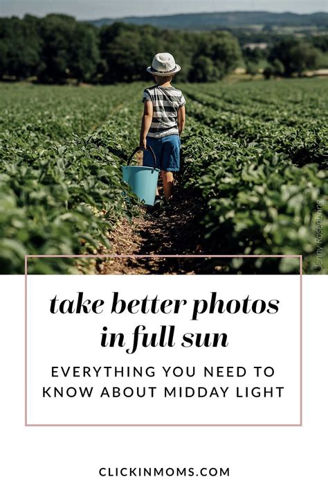 How To Take Better Photographs In Midday Sun Photography Tips Learn