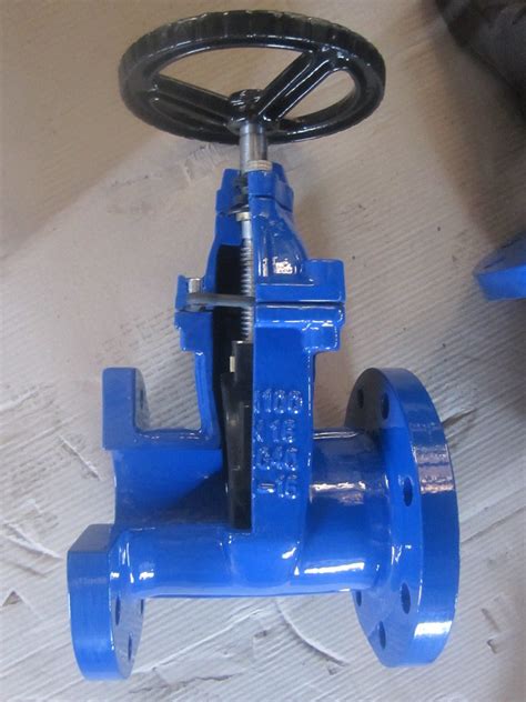 Factory Direct Sale Bs Dn Pn Cast Body Gate Valve China Gate