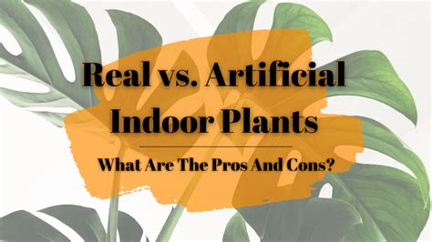 Indoor Fake Plants Are Better Than Real Plantshere S Why