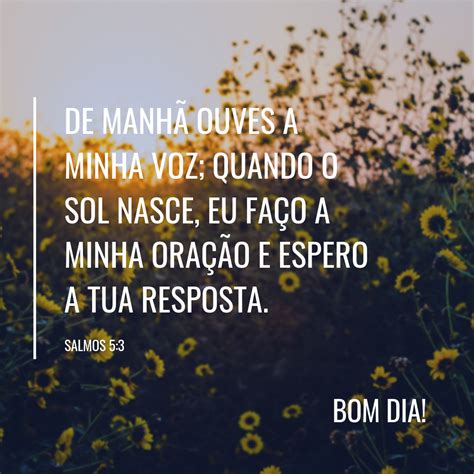 Mensagens B Blicas De Bom Dia Que V O Encantar Seus Contatos