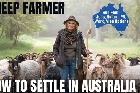 Sheep Farmer Career and Immigration options for Australia - Australia ...