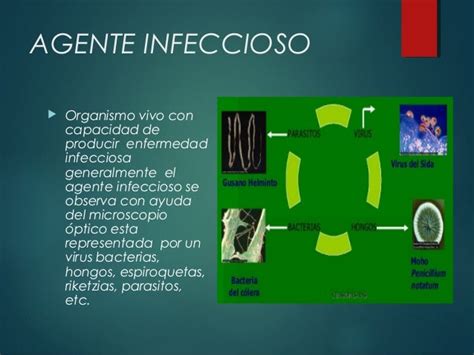 Agentes Infecciosos