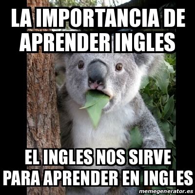 Meme Koala La Importancia De Aprender Ingles El Ingles Nos Sirve Para