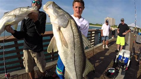 Snook Fishing Juno Beach Pier Part Ii And Jigging For Jewfish Youtube