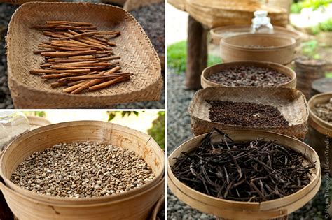 Кофе лювак (Kopi Luwak) – самый дорогой кофе в мире или за что ценится ...