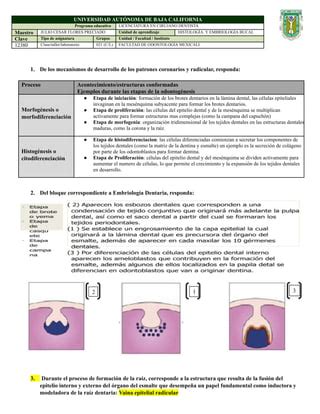 Ejericio odontogénesis y sus etapass pdf