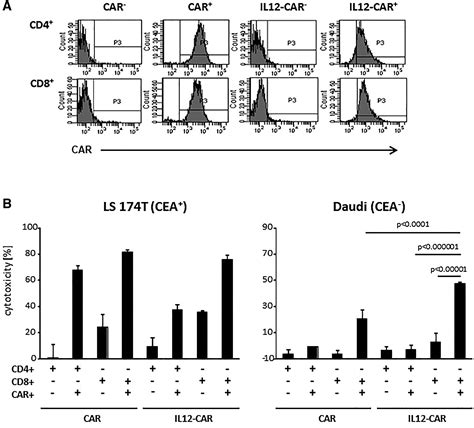 Il12 Integrated Into The Car Exodomain Converts Cd8 T Cells To Poly