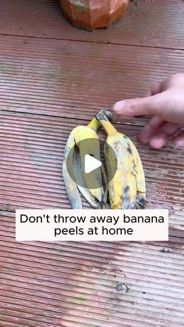 Home Gardening On Instagram Irrigation Water Recipe From Banana Peel