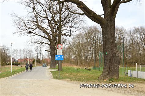 Pomniki przyrody w gminie Długołęka pow wrocławski dolnośląskie