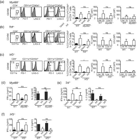 Figure 5 From Expression Of PD 1 LAG 3 And Cytokine Production By CD4 T