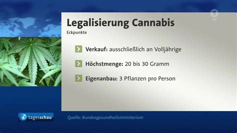 Video Gesundheitsminister Legt Eckpunkte F R Cannabis Legalisierung