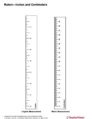 Real Life Ruler Inches Cheaper Than Retail Price Buy Clothing