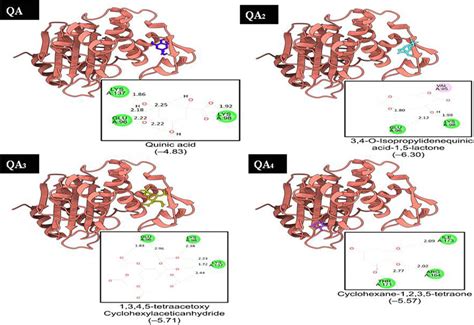 Frontiers Isolation Of Quinic Acid From Dropped Citrus Reticulata