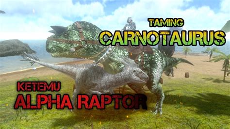 Taming Carnotaurus Langsung Lawan Alpha Raptor Ark Survival Evolved